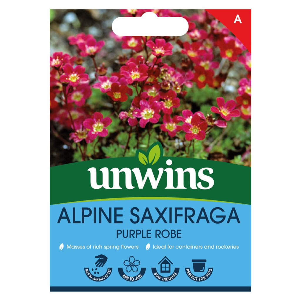Unwins Saxifraga Purple Robe Seeds 5051618036344 2